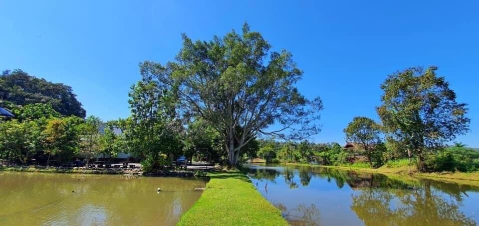 Homdoiintr Farmstay ฮ่อมดอยอินทร์ ฟาร์มสเตย์ Ban Huai Kaeo 外观 照片