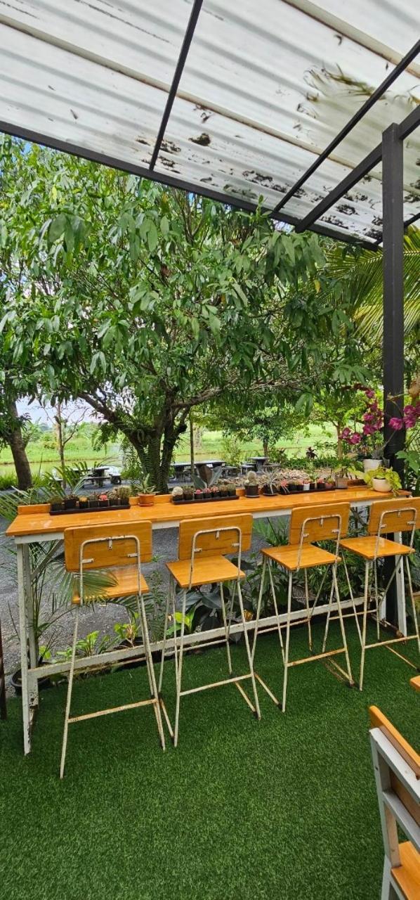 Homdoiintr Farmstay ฮ่อมดอยอินทร์ ฟาร์มสเตย์ Ban Huai Kaeo 外观 照片