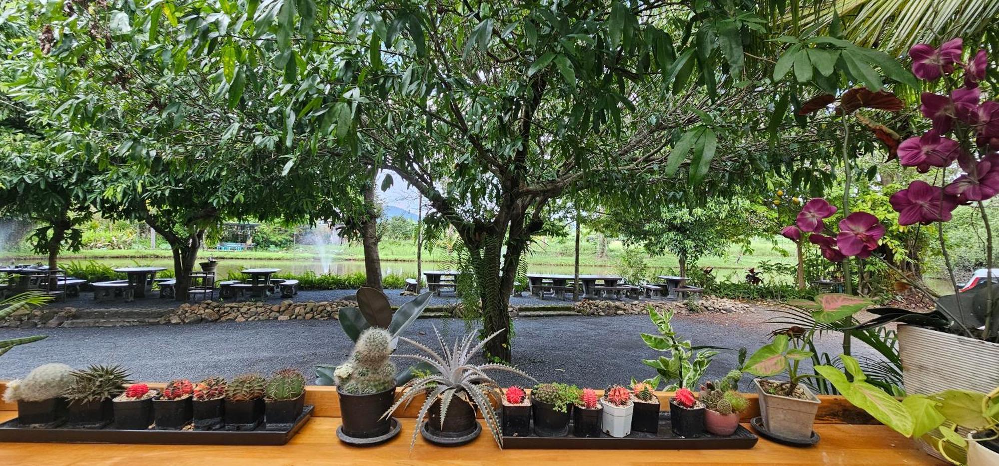 Homdoiintr Farmstay ฮ่อมดอยอินทร์ ฟาร์มสเตย์ Ban Huai Kaeo 外观 照片