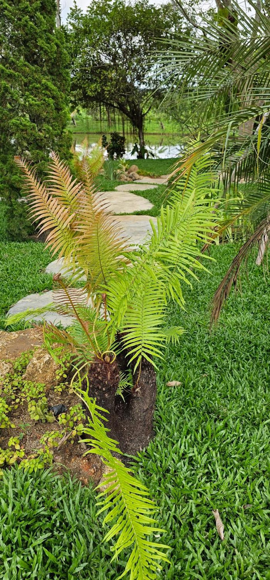 Homdoiintr Farmstay ฮ่อมดอยอินทร์ ฟาร์มสเตย์ Ban Huai Kaeo 外观 照片