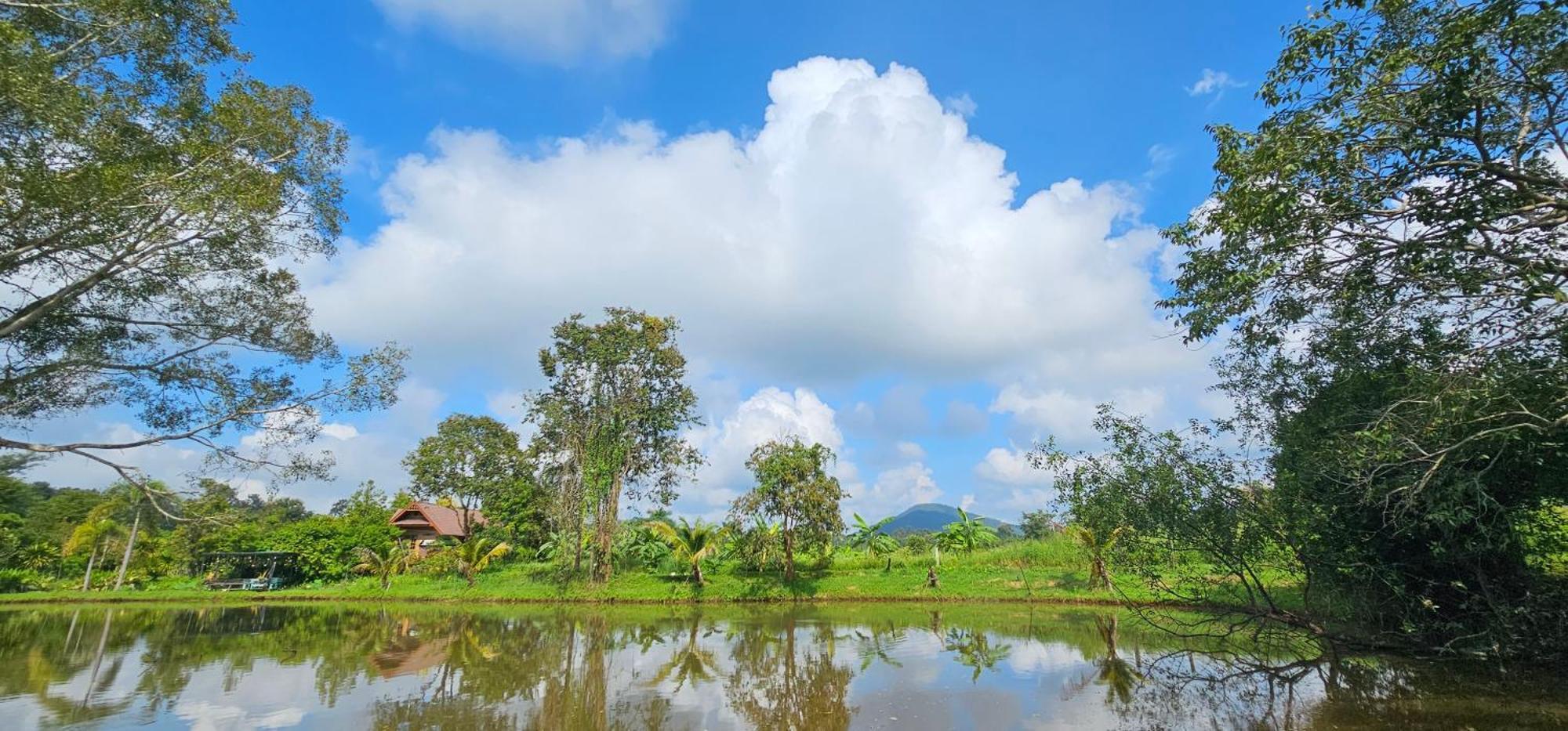 Homdoiintr Farmstay ฮ่อมดอยอินทร์ ฟาร์มสเตย์ Ban Huai Kaeo 外观 照片