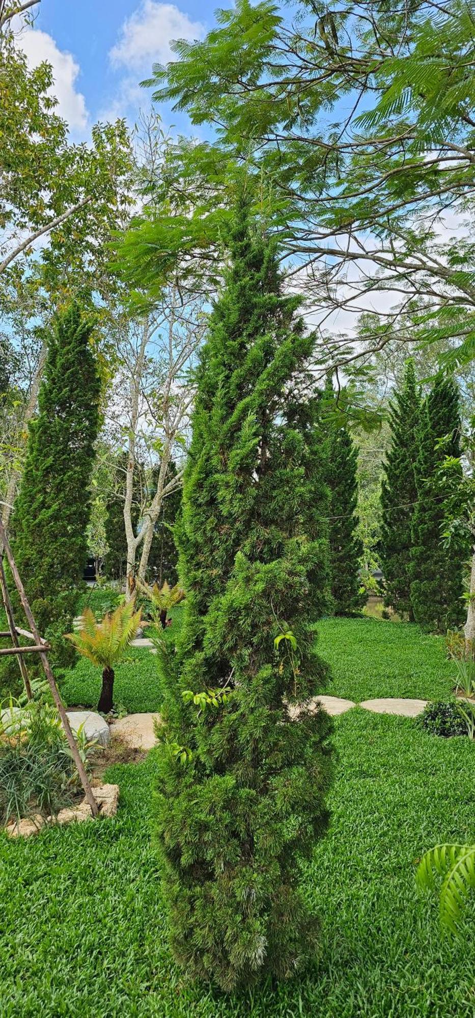 Homdoiintr Farmstay ฮ่อมดอยอินทร์ ฟาร์มสเตย์ Ban Huai Kaeo 外观 照片